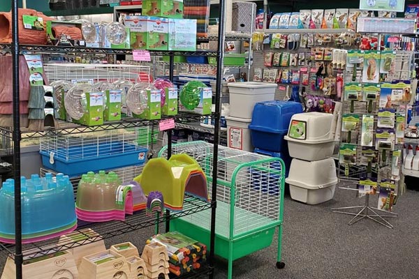 Interior Store Photo